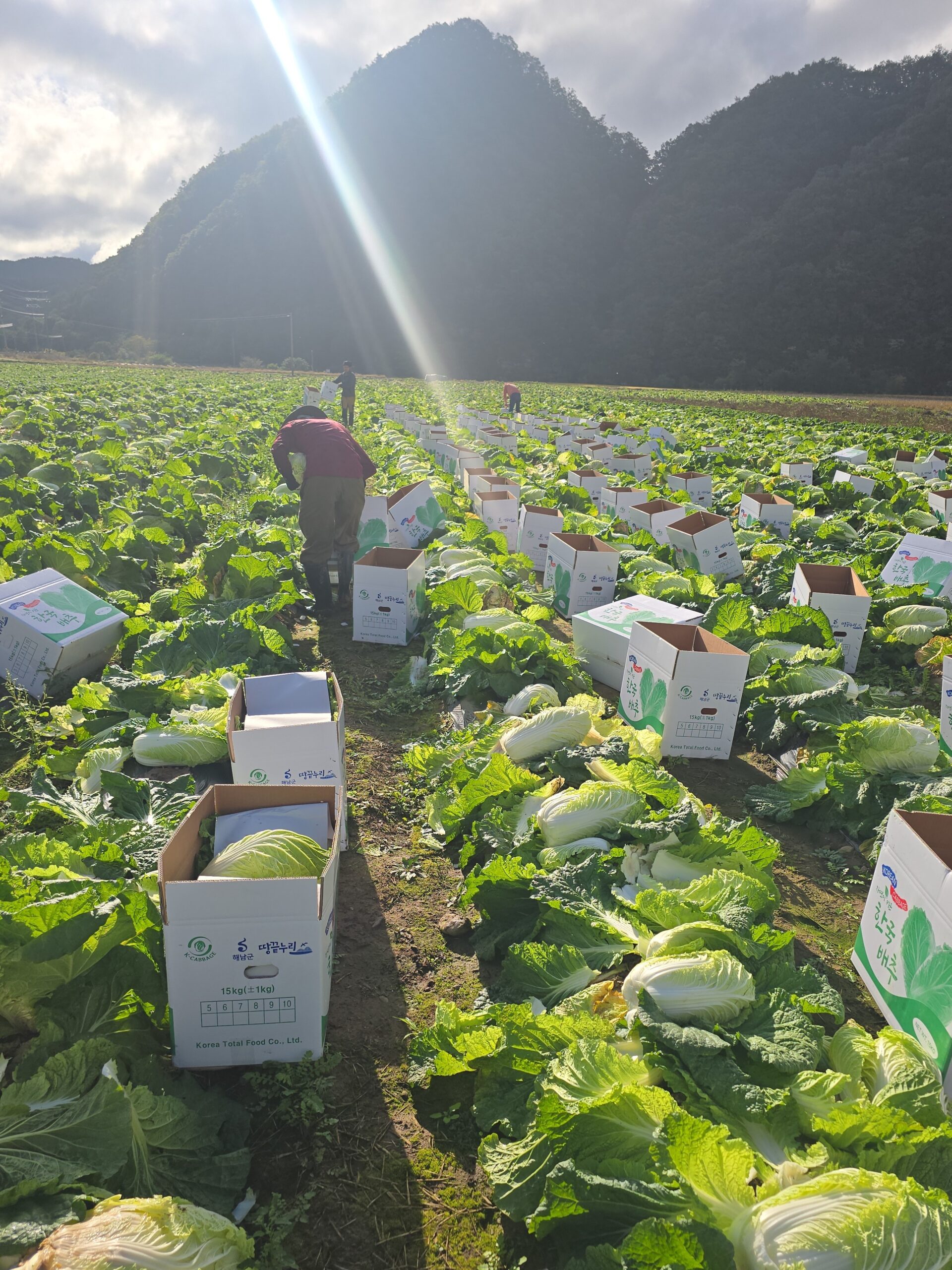 KakaoTalk_20251117_145841609