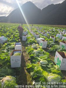 KakaoTalk_20251117_145841609