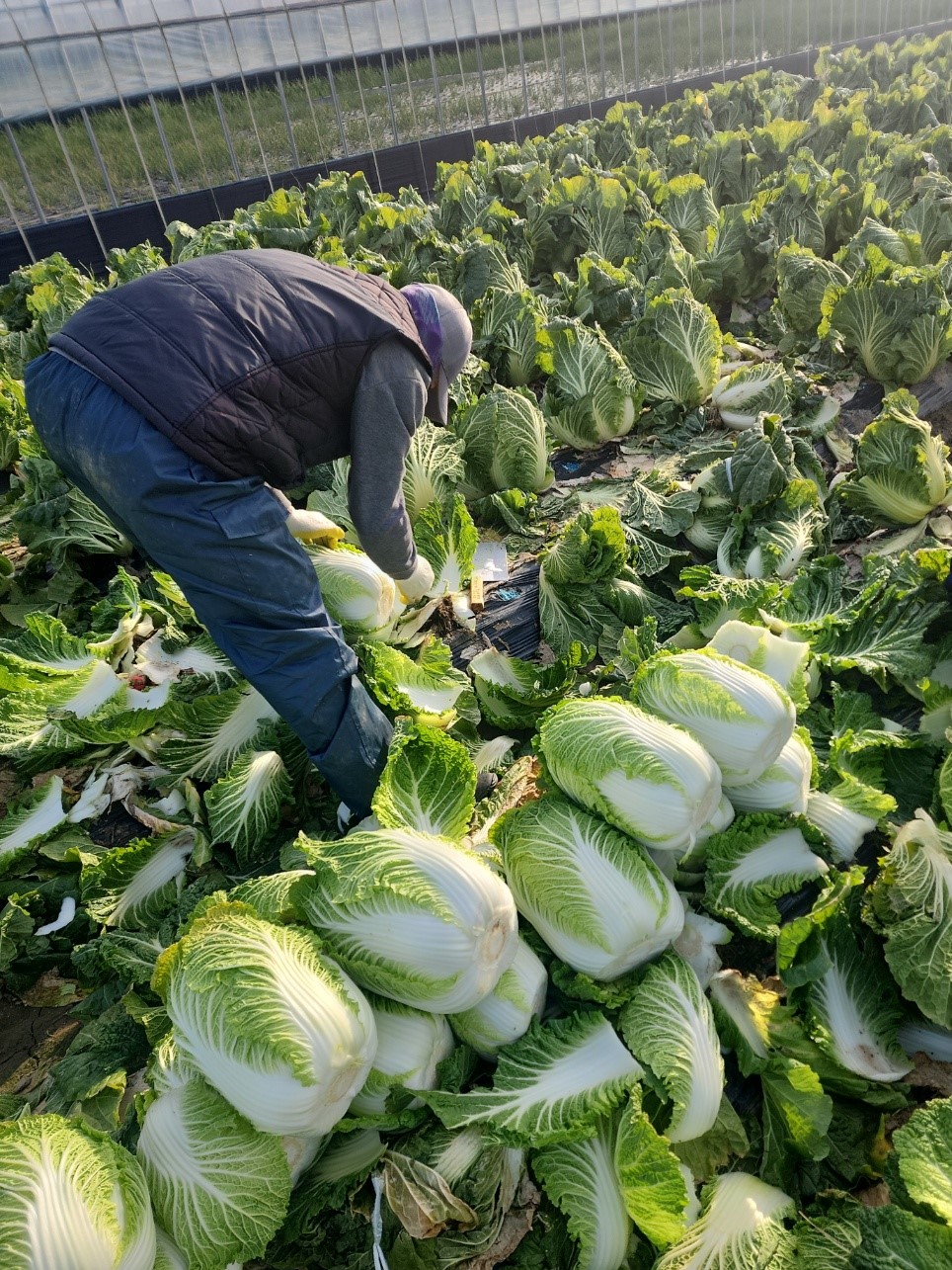 KakaoTalk_20251117_145841609_09