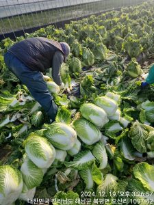 KakaoTalk_20251117_145841609_09