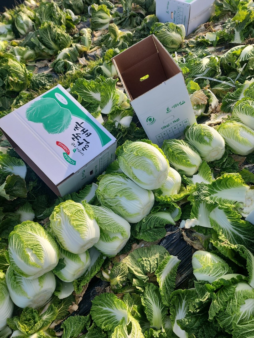 KakaoTalk_20251117_145841609_10